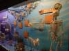 7102 - 20201106 Day07 Oklahoma City Museum of Osteology