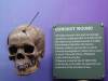 7105 - 20201106 Day07 Oklahoma City Museum of Osteology