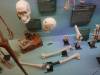 7113 - 20201106 Day07 Oklahoma City Museum of Osteology