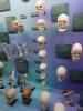 7114 - 20201106 Day07 Oklahoma City Museum of Osteology
