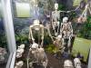 7119 - 20201106 Day07 Oklahoma City Museum of Osteology