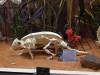 7130 - 20201106 Day07 Oklahoma City Museum of Osteology