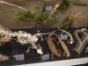 7137 - 20201106 Day07 Oklahoma City Museum of Osteology