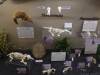 7149 - 20201106 Day07 Oklahoma City Museum of Osteology
