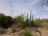 7606 - 220201120 Arizona-Sonora Desert Museum