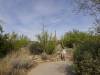 7608 - 220201120 Arizona-Sonora Desert Museum