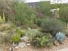 7669 - 220201120 Arizona-Sonora Desert Museum