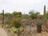 7678 - 220201120 Arizona-Sonora Desert Museum