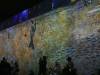 108 - 20210721 Immersive Van Gogh Exhibit