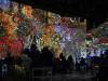 132 - 20210721 Immersive Van Gogh Exhibit
