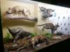 138 - 20210831 Liverpool World Museum