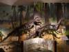 142 - 20210831 Liverpool World Museum