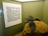 143 - 20210831 Liverpool World Museum
