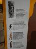 144 - 20210831 Liverpool World Museum