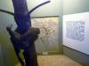 148 - 20210831 Liverpool World Museum