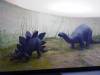 153 - 20210831 Liverpool World Museum