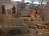 162 - 20210831 Liverpool World Museum