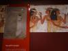 174 - 20210831 Liverpool World Museum