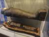 178 - 20210831 Liverpool World Museum