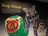 187 - 20210831 Liverpool World Museum