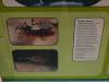 191 - 20210831 Liverpool World Museum