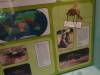 192 - 20210831 Liverpool World Museum