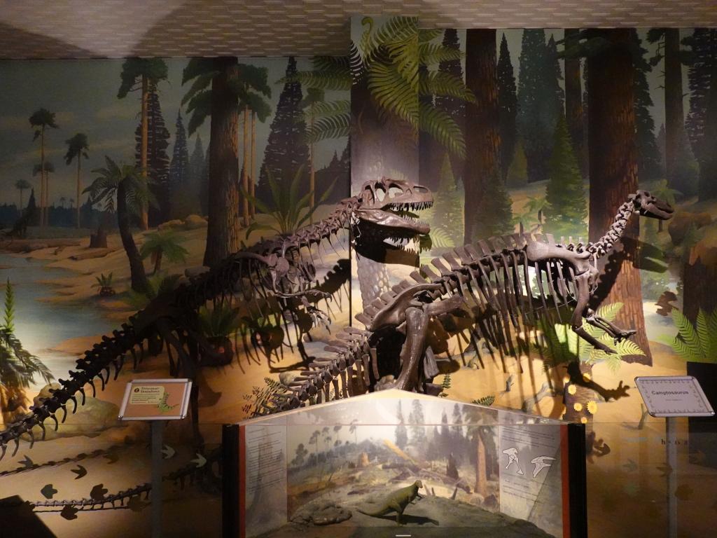142 - 20210831 Liverpool World Museum