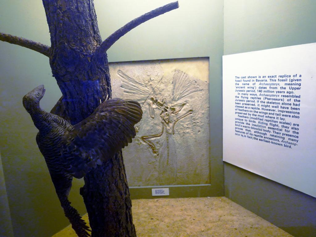 148 - 20210831 Liverpool World Museum
