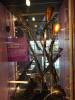 146 - 20210901 Birmingham Thinktank Science Museum
