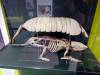 172 - 20210901 Birmingham Thinktank Science Museum