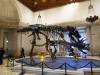 101 - 20220408 Natural History Museum of Los Angeles