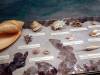 103 - 20220408 Natural History Museum of Los Angeles