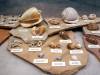105 - 20220408 Natural History Museum of Los Angeles