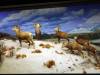 113 - 20220408 Natural History Museum of Los Angeles