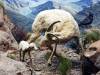 116 - 20220408 Natural History Museum of Los Angeles