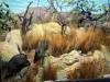 119 - 20220408 Natural History Museum of Los Angeles