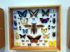128 - 20220408 Natural History Museum of Los Angeles