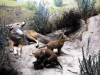 135 - 20220408 Natural History Museum of Los Angeles