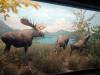 140 - 20220408 Natural History Museum of Los Angeles