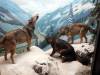 141 - 20220408 Natural History Museum of Los Angeles