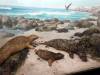 142 - 20220408 Natural History Museum of Los Angeles
