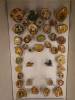 3205 - 20220803 Musees Royaux Art et Histoire