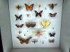 121 - 20230212 Montreal Insectarium