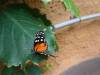 151 - 20230212 Montreal Insectarium