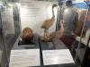 105 - 20230703 Natural History Museum SONY