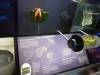 108 - 20230703 Natural History Museum SONY