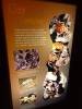 122 - 20230703 Natural History Museum SONY