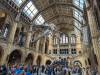127 - 20230703 Natural History Museum Google