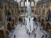 137 - 20230703 Natural History Museum SONY