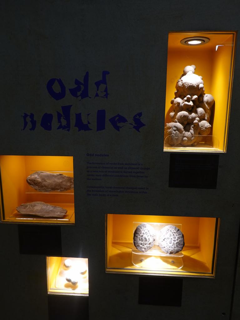 107 - 20230703 Natural History Museum SONY